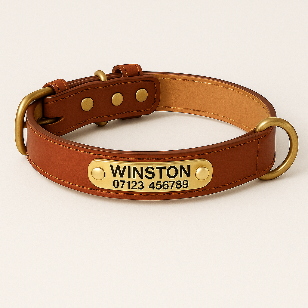 Monarca Collar