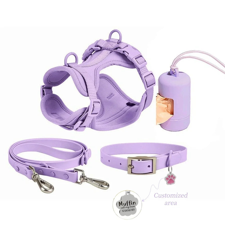 Complete Dog Walking Kit
