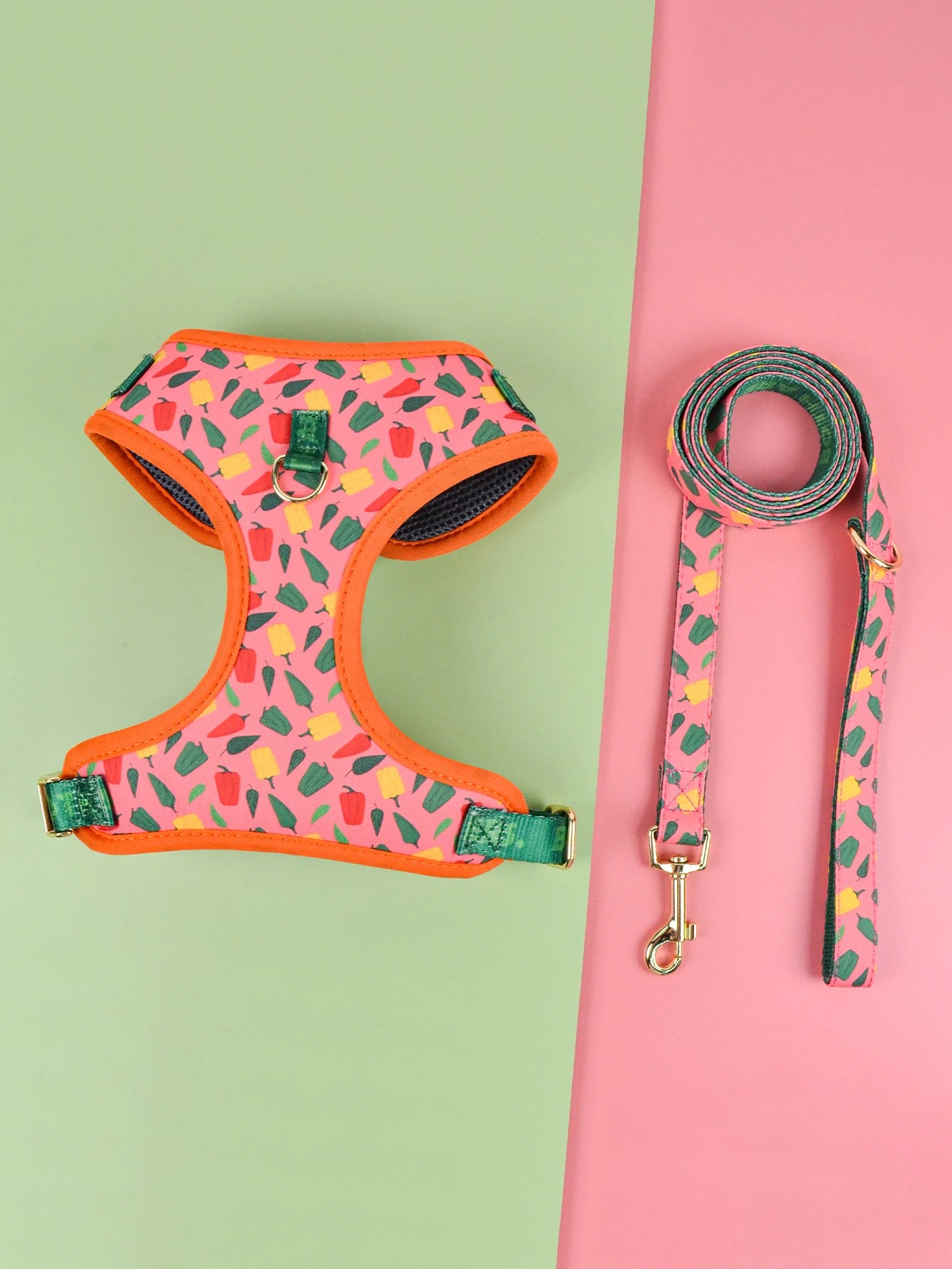 Printed Harness and Lead Set for Dogs – Comfort, Style and Fun Patterns