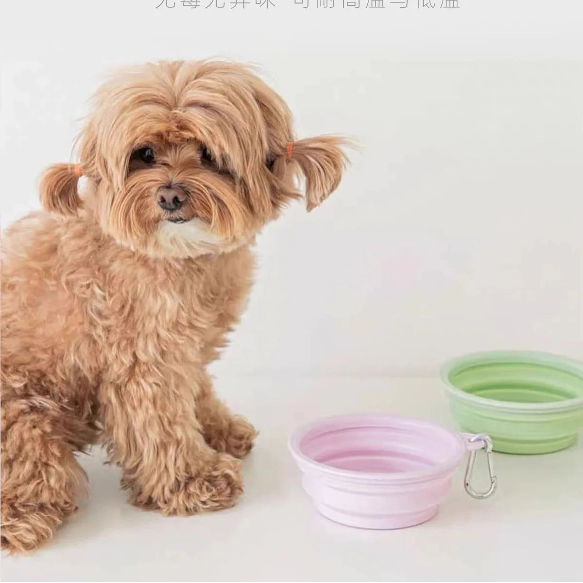 Pets Go Out Folding Bolws