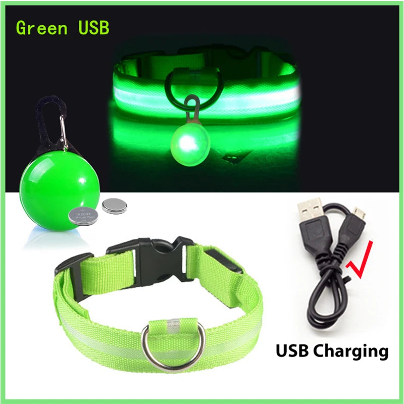 USB Rechargeable LED Dog & Cat Collar – Night Safety