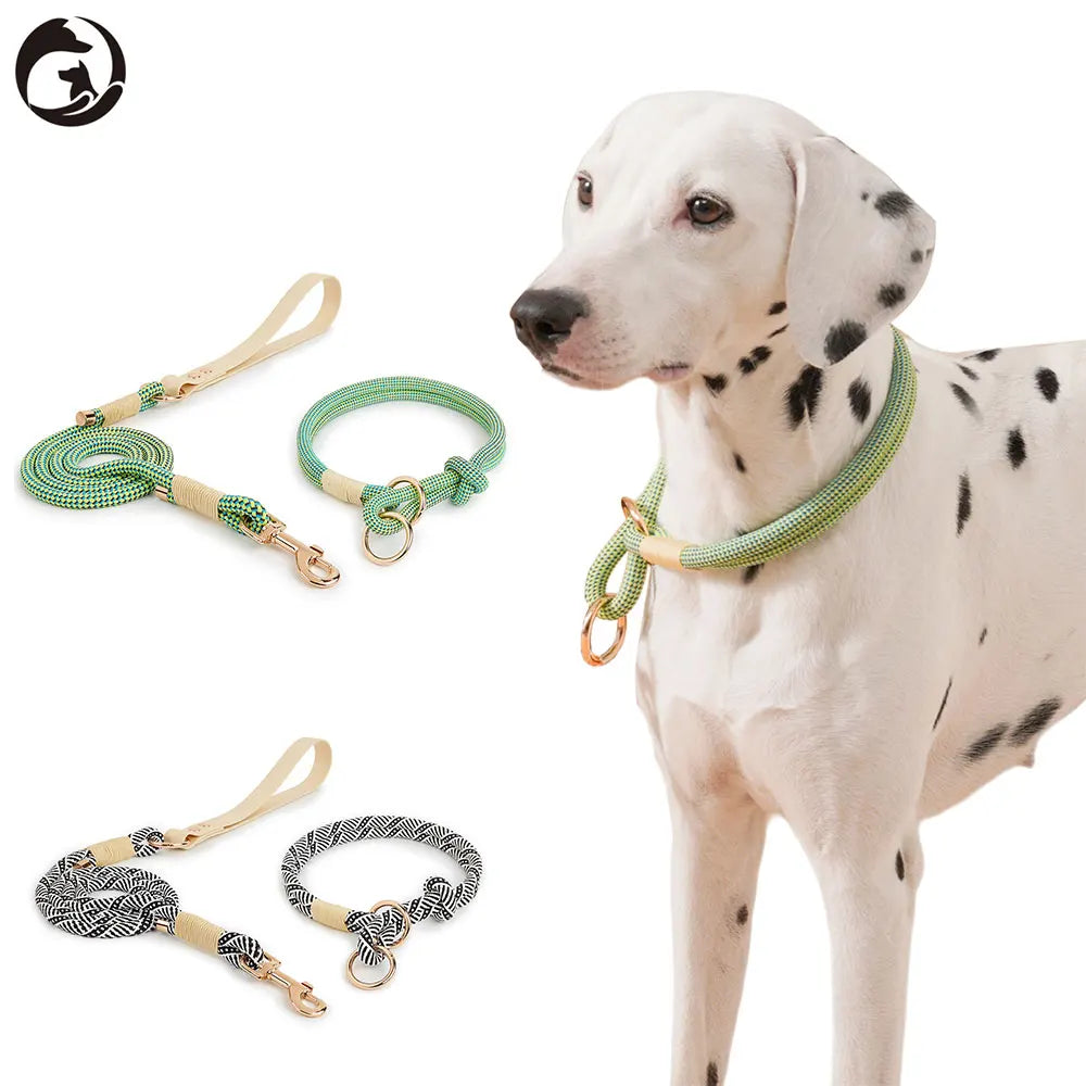 Slip Nylon Collar and Leash Set