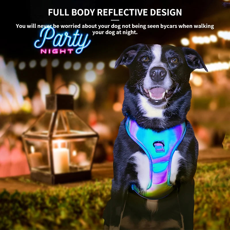 Luxury Dog Harness and Leash Set