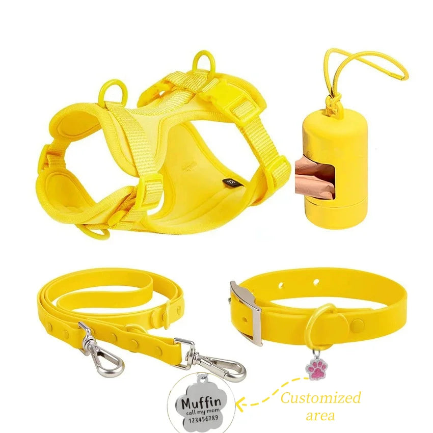 Complete Dog Walking Kit