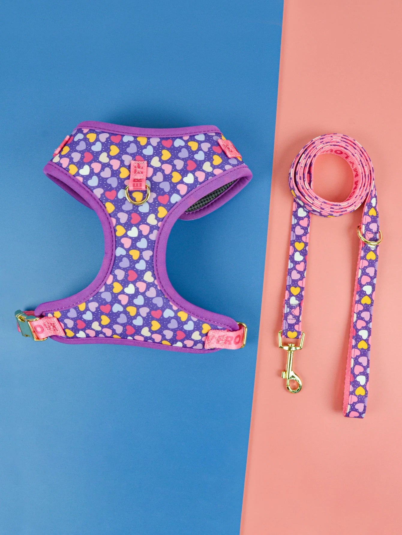 Printed Harness and Lead Set for Dogs – Comfort, Style and Fun Patterns
