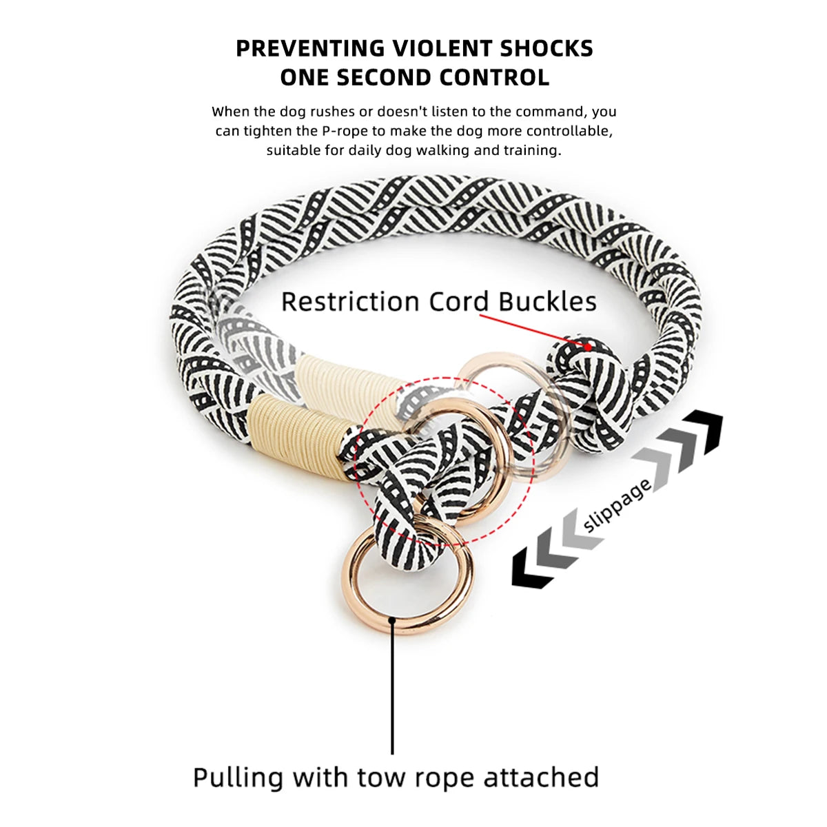 Slip Nylon Collar and Leash Set