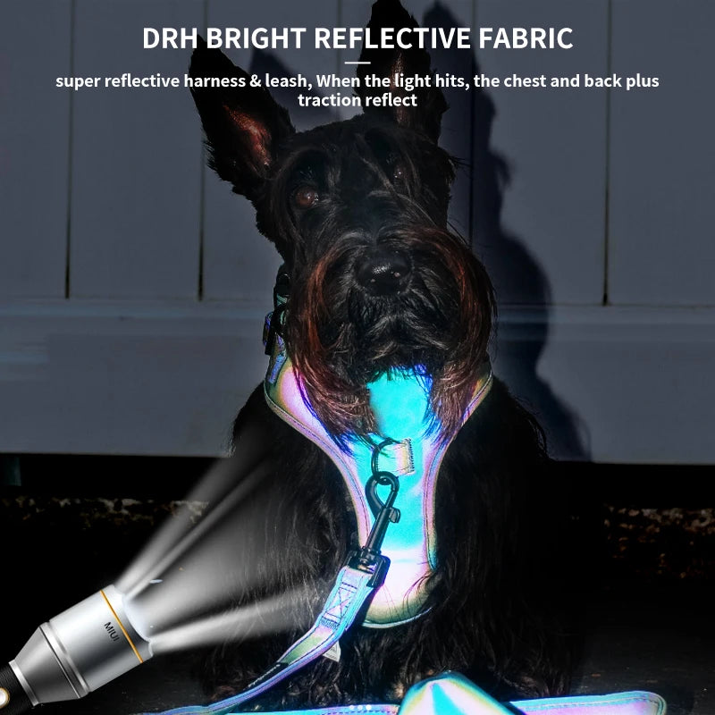 Luxury Dog Harness and Leash Set