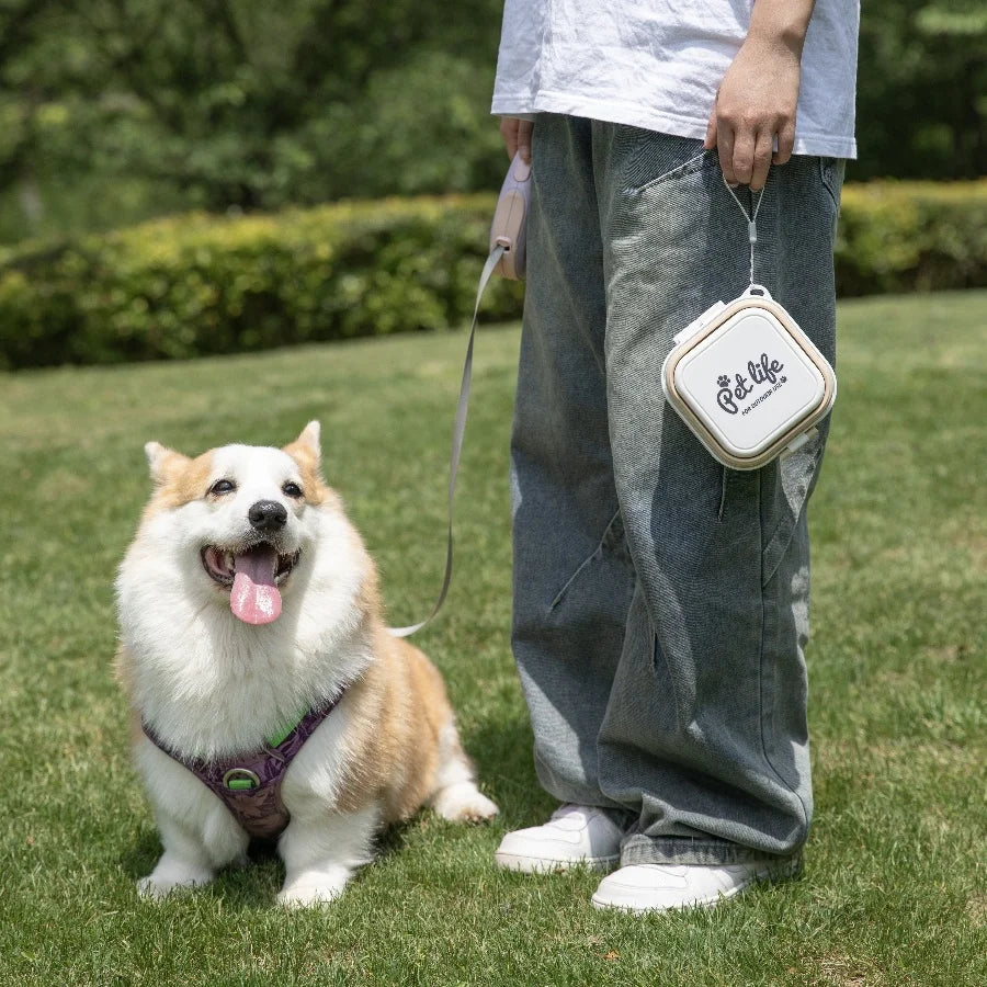 Thickened Folding Double Pet Bowls – Portable Travel Dog & Cat Feeder