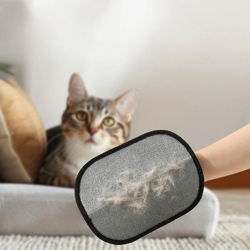 Pet Hair Removal for Dogs & Cats