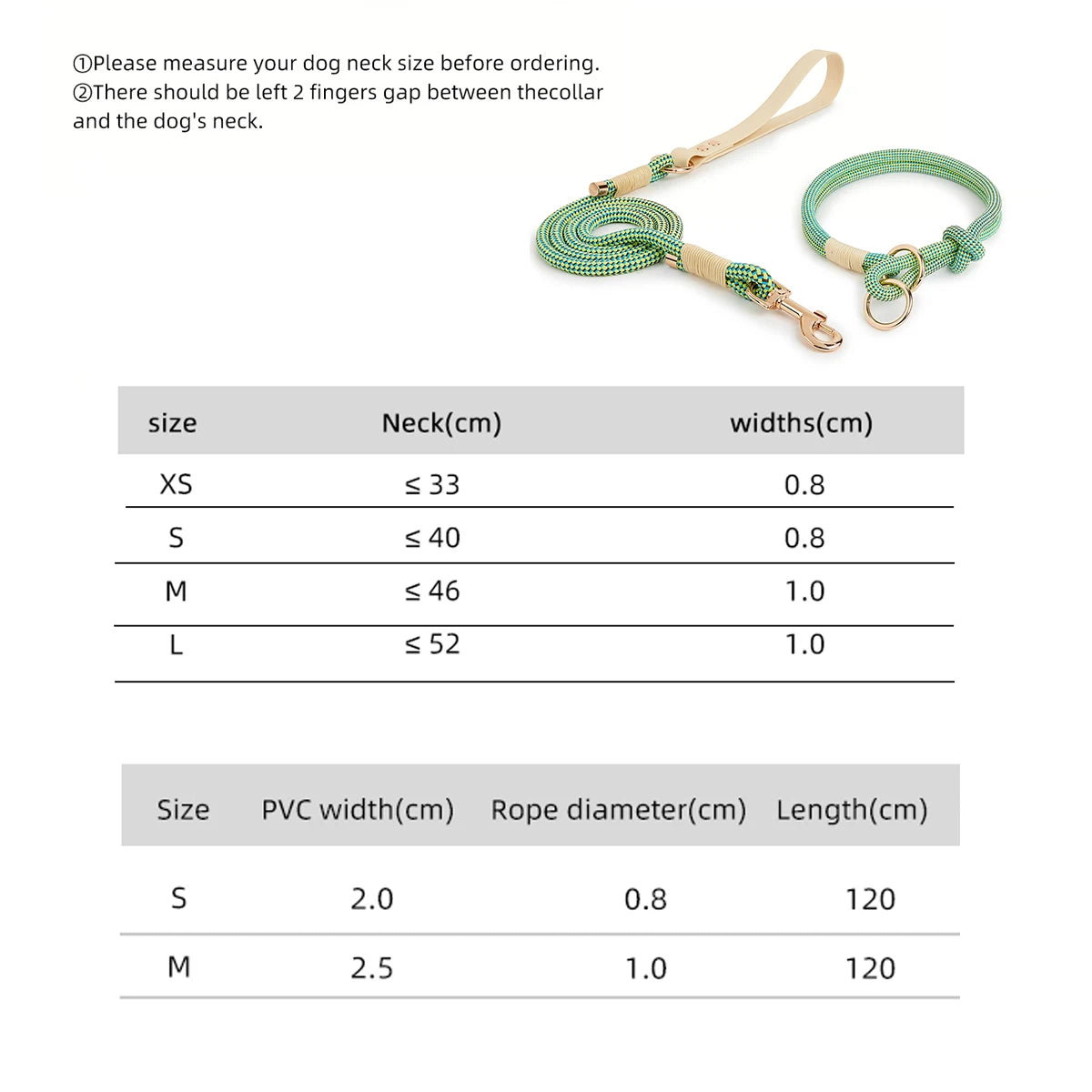 Slip Nylon Collar and Leash Set