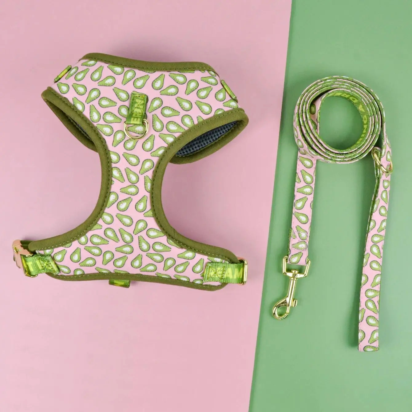Printed Harness and Lead Set for Dogs – Comfort, Style and Fun Patterns