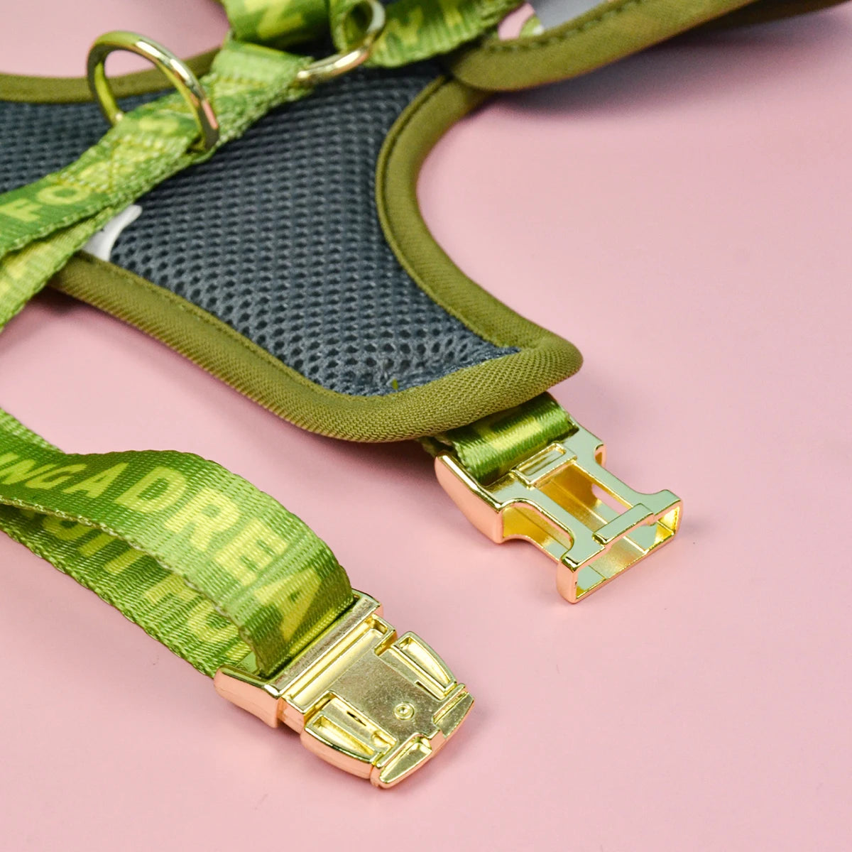 Printed Harness and Lead Set for Dogs – Comfort, Style and Fun Patterns