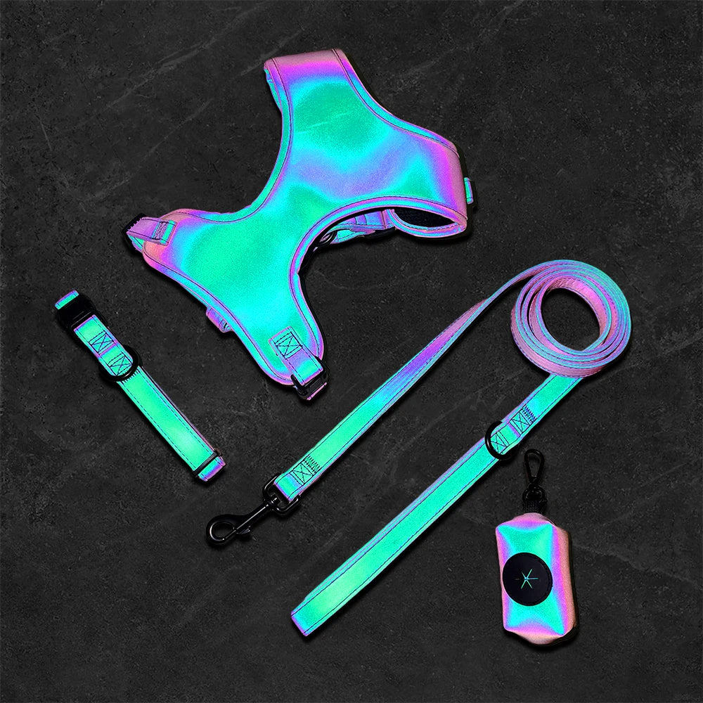 Luxury Dog Harness and Leash Set