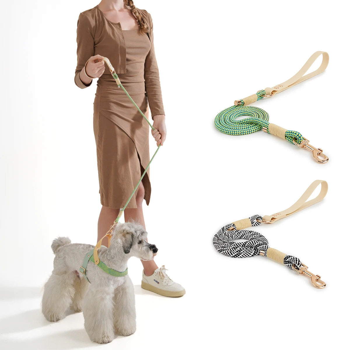 Slip Nylon Collar and Leash Set