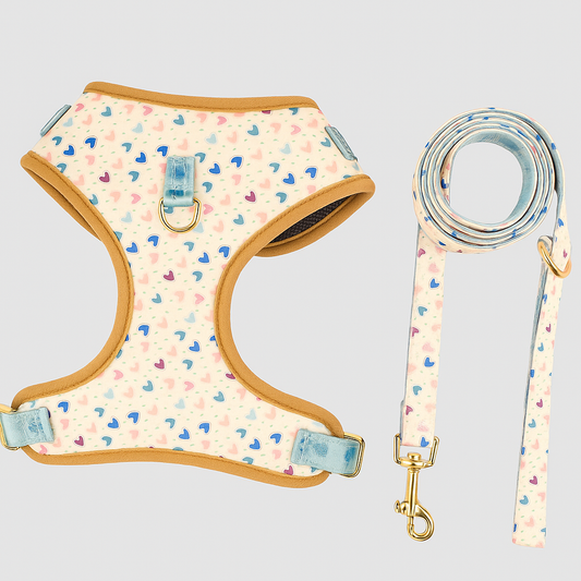 Printed Harness and Lead Set for Dogs – Comfort, Style and Fun Patterns