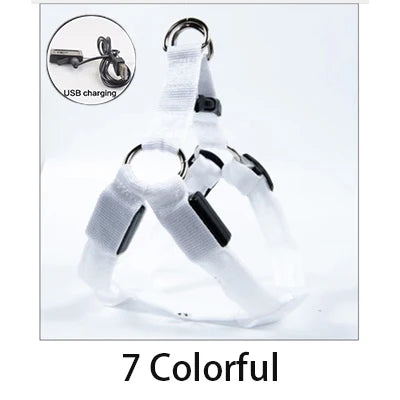 Adjustable LED Dog Harness