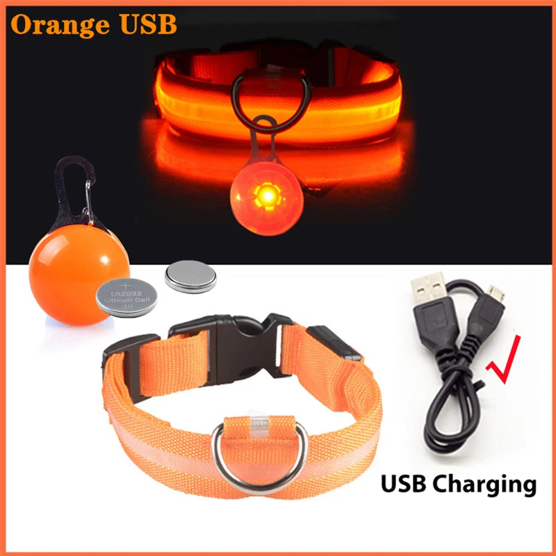 USB Rechargeable LED Dog & Cat Collar – Night Safety