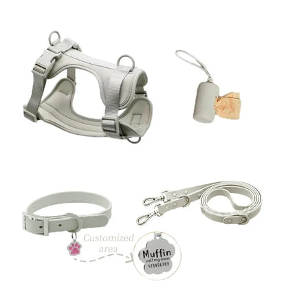 Complete Dog Walking Kit