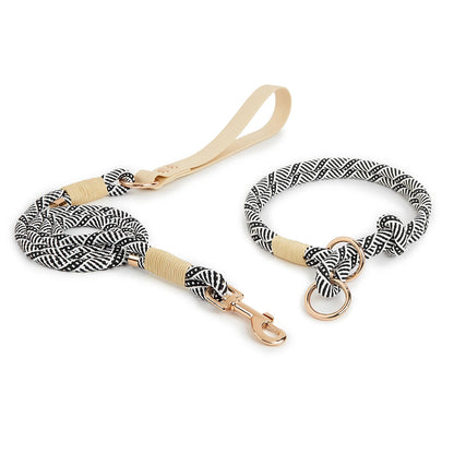 Slip Nylon Collar and Leash Set