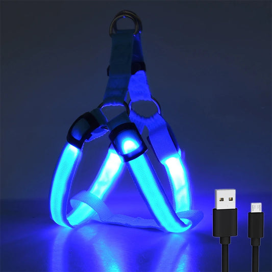 Adjustable LED Dog Harness