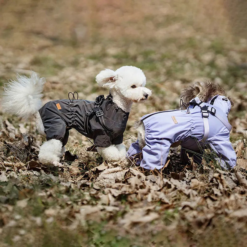 Adjustable Reflective Dog Raincoat with Harness
