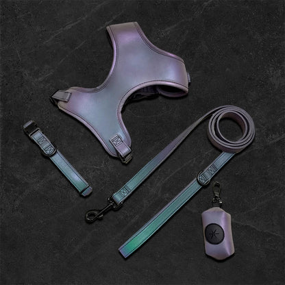 Luxury Dog Harness and Leash Set