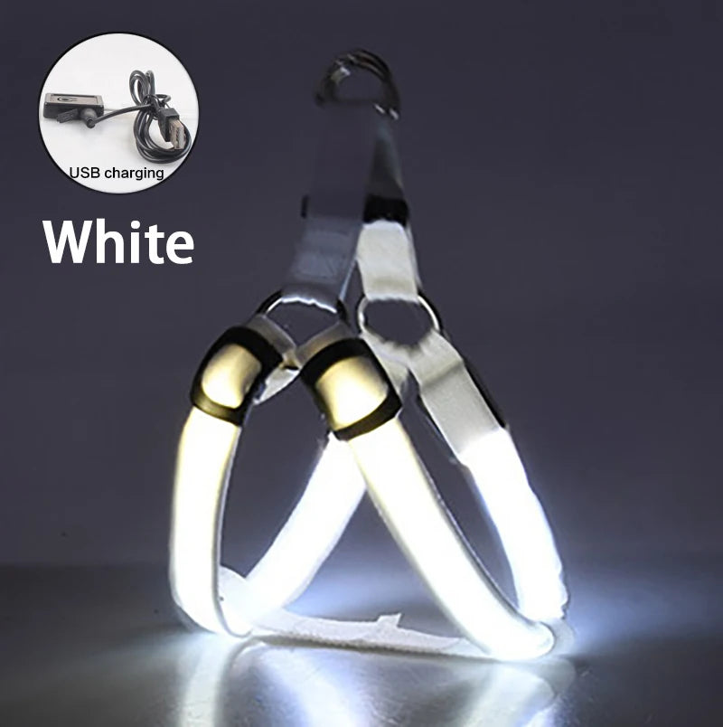 Adjustable LED Dog Harness