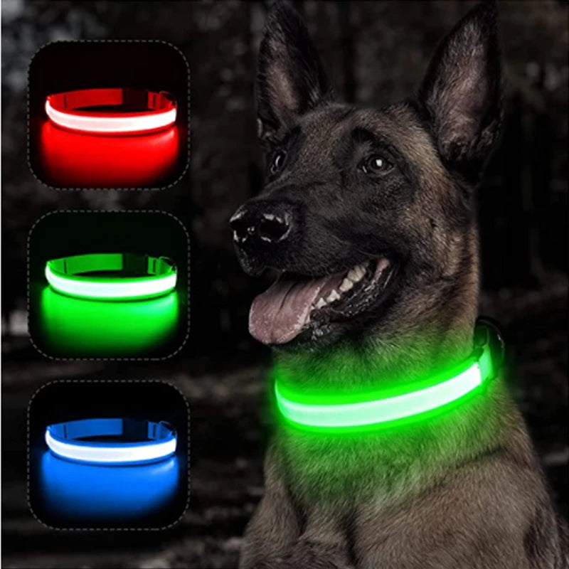 USB Rechargeable LED Dog & Cat Collar – Night Safety