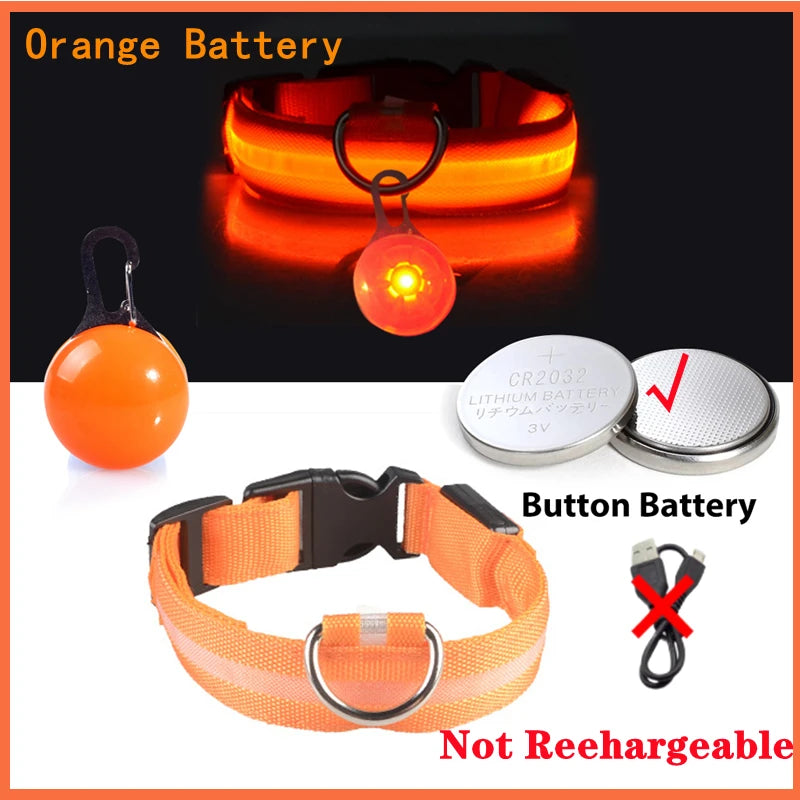 USB Rechargeable LED Dog & Cat Collar – Night Safety