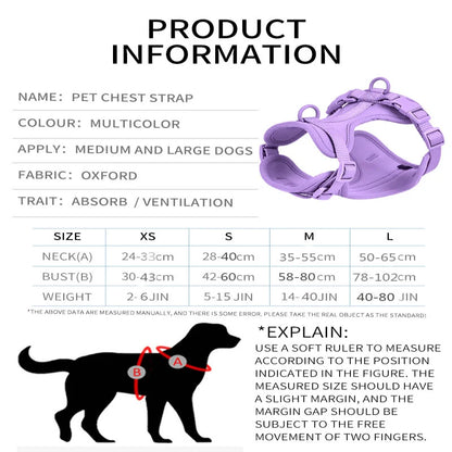 Complete Dog Walking Kit