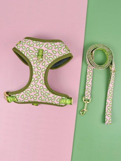Printed Harness and Lead Set for Dogs – Comfort, Style and Fun Patterns