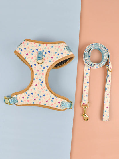 Printed Harness and Lead Set for Dogs – Comfort, Style and Fun Patterns