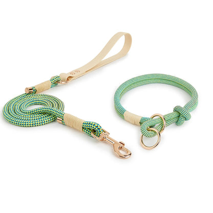 Slip Nylon Collar and Leash Set