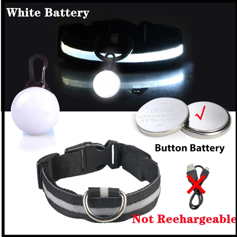 USB Rechargeable LED Dog & Cat Collar – Night Safety