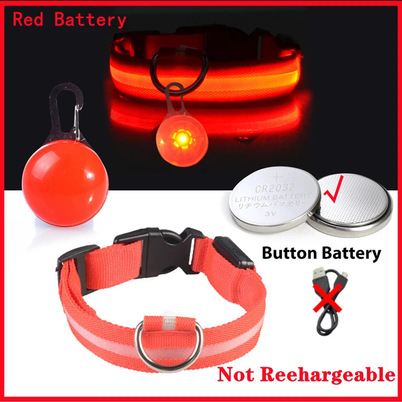 USB Rechargeable LED Dog & Cat Collar – Night Safety