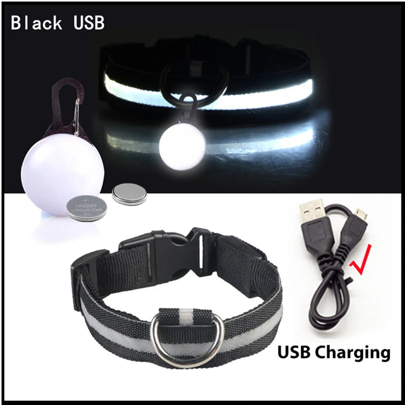 USB Rechargeable LED Dog & Cat Collar – Night Safety