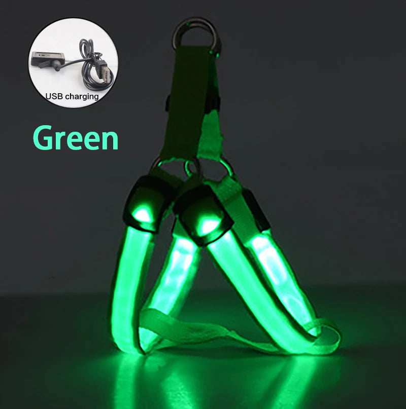 Adjustable LED Dog Harness