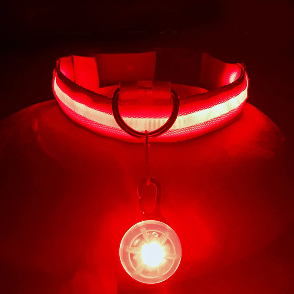 USB Rechargeable LED Dog & Cat Collar – Night Safety