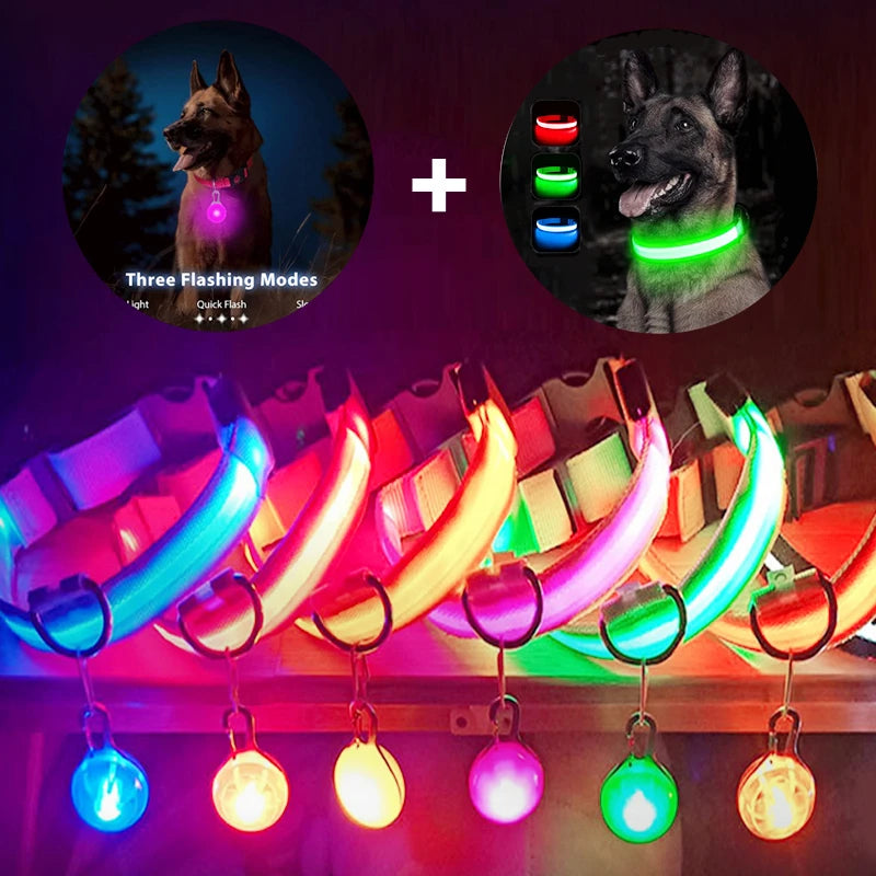 USB Rechargeable LED Dog & Cat Collar – Night Safety