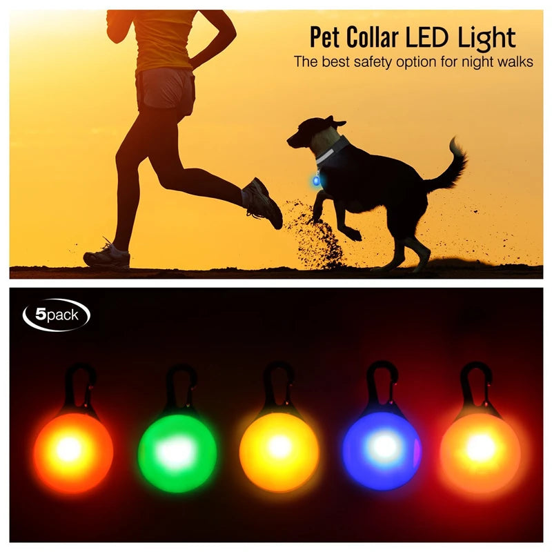 USB Rechargeable LED Dog & Cat Collar – Night Safety