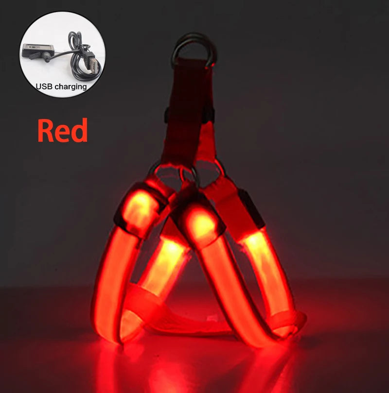 Adjustable LED Dog Harness
