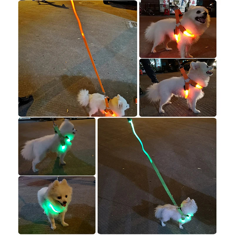 Adjustable LED Dog Harness
