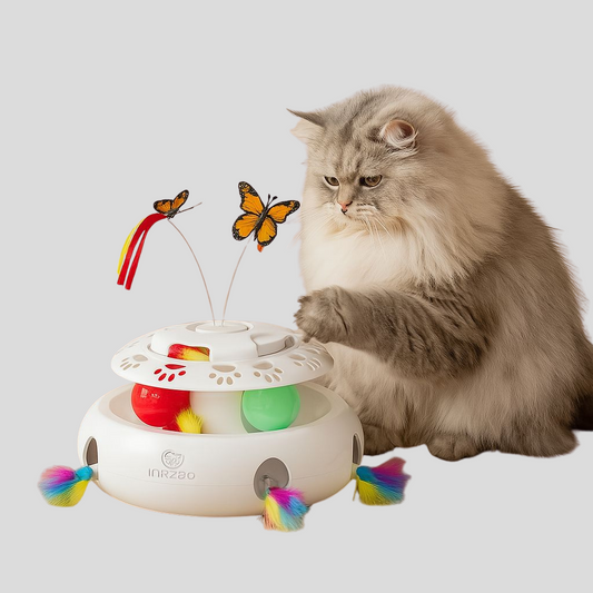 Whisker Arcade – 4-in-1 Interactive Cat Toy