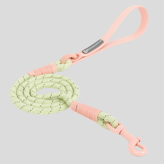 Cotton Candy Walk Leash