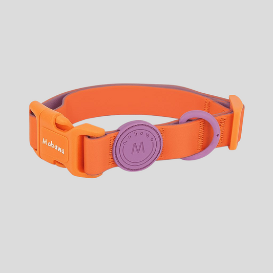 Tutti Frutti Harness