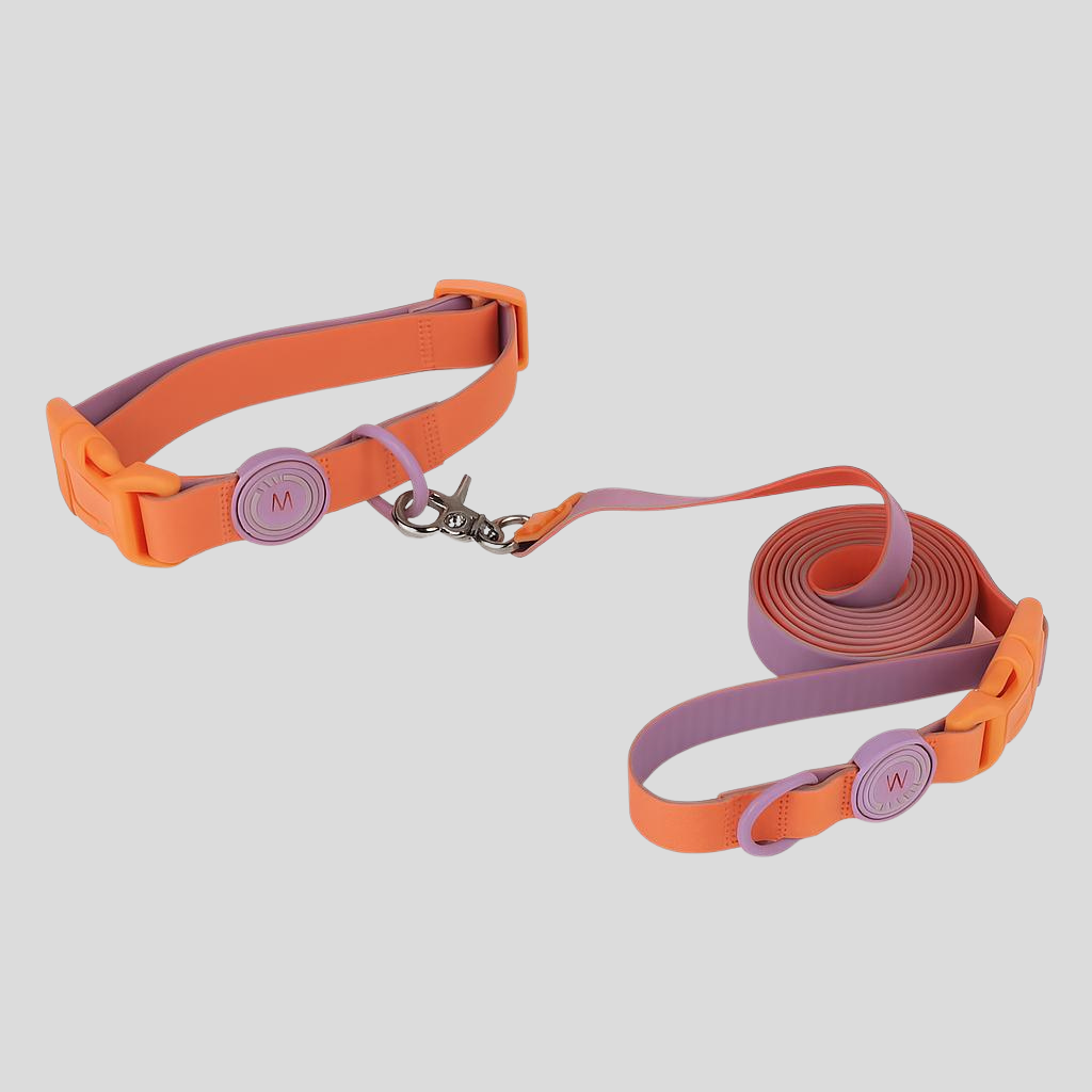 Tutti Frutti Walk Set