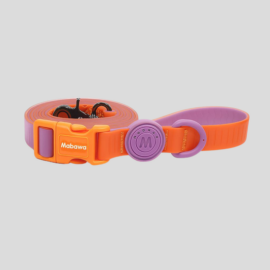 Tutti Frutti Leash