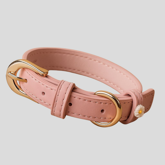 Candy Collar –