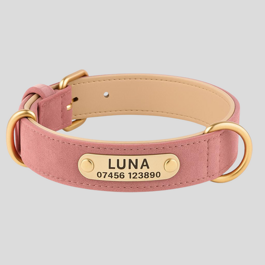 Monarca Collar