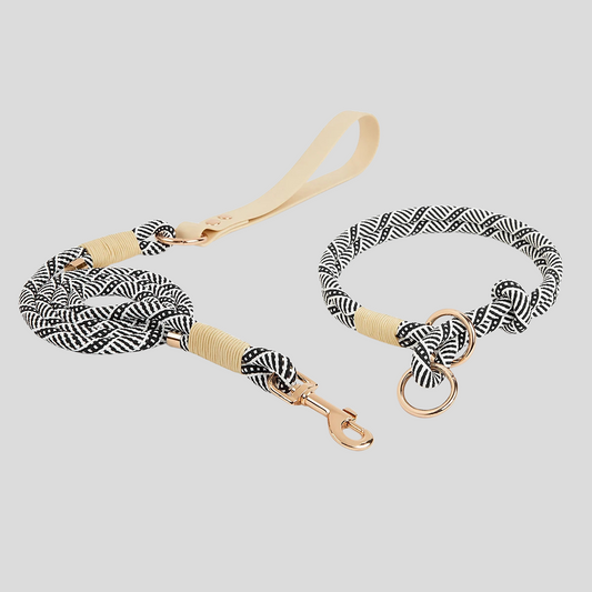 Slip Nylon Collar and Leash Set